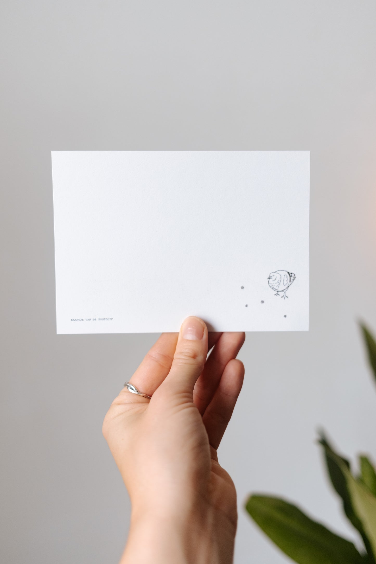 Nieuw! Postkaart - duivenweetjes